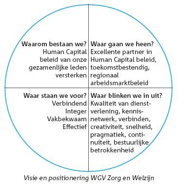 Cirkeldiagram-visie-en-positionering-2